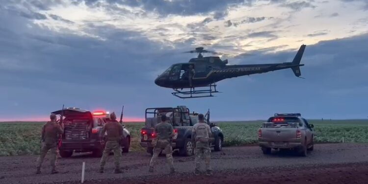 BPFRON, Polícia Civil e Polícia Federal apreendem 2,4 toneladas de drogas no Paraná