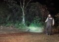 Corpo carbonizado é encontrado às margens da BR-277 na RMC
