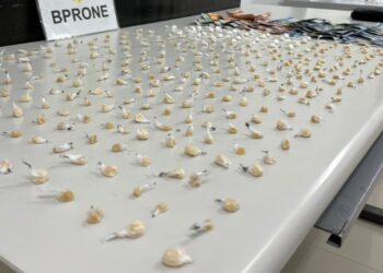 RONE detém mulher e apreende crack e cocaína no Prado Velho