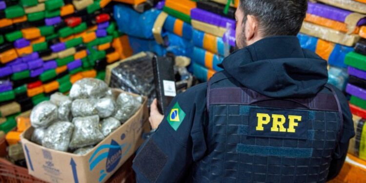 PRF registra recorde histórico! Nunca se apreendeu tanta maconha quanto em 2023 no Paraná