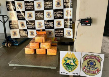 Policiais militares do Batalhão de Fronteira apreendem 110 kg de maconha