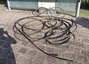 Guardas municipais prendem marginal que estava furtando cabos de energia elétrica em Curitiba