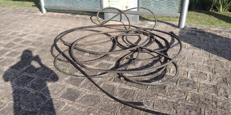 Guardas municipais prendem marginal que estava furtando cabos de energia elétrica em Curitiba