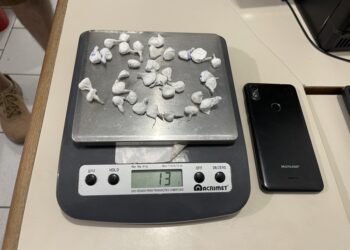 Ação da PMPR resulta em prisão por furto e tráfico de drogas, em Guaratuba