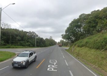 Mulher é encontrada morta às margens de rodovia em Araucária, na RMC