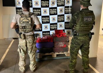 Policiais militares e federais encontram 239 quilos de maconha