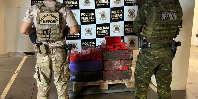 Policiais militares e federais encontram 239 quilos de maconha