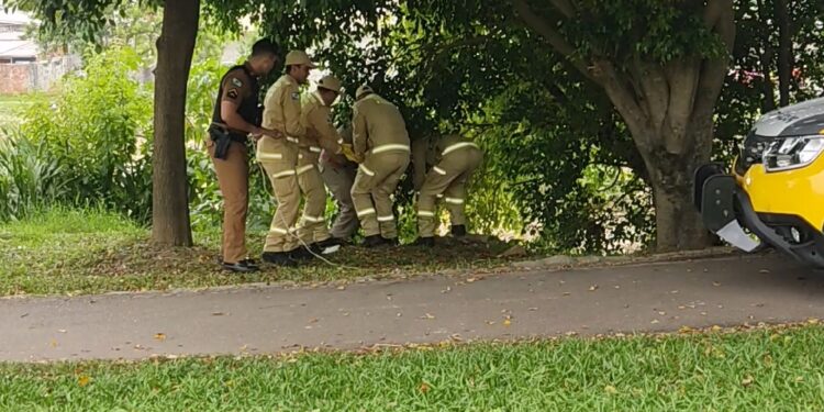 Corpo com tornozeleira eletrônica é encontrado no Rio Barigui em Curitiba