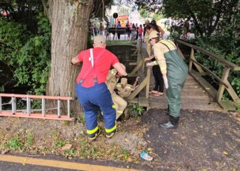 Bombeiros resgatam homem que caiu de ponte no Fazendinha