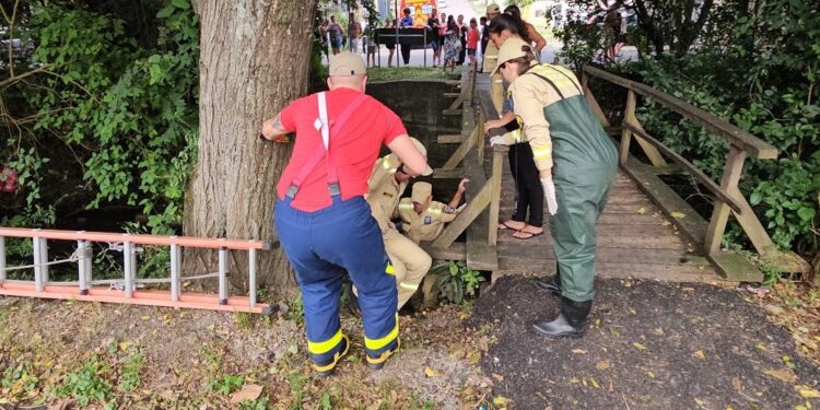 Bombeiros resgatam homem que caiu de ponte no Fazendinha