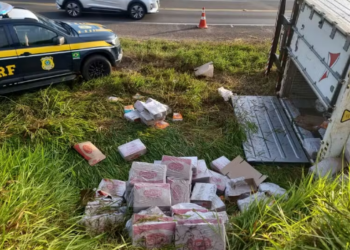 Caminhão de frango congelado tomba e carga é saqueada, na BR-376