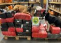 Com auxílio de cães farejadores, Polícia Militar encontra quase 1 tonelada de maconha