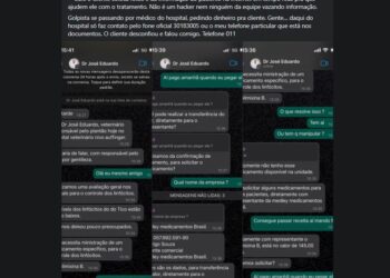 Criminoso tenta aplicar o golpe em tutor de cãozinho que estava internado em hospital de Curitiba, veja como funciona