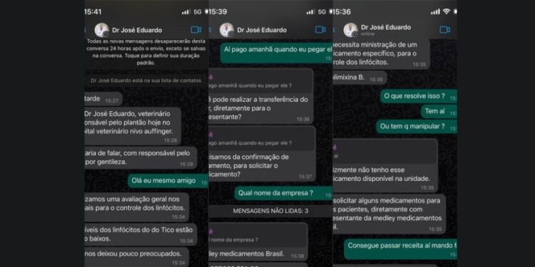Criminoso tenta aplicar o golpe em tutor de cãozinho que estava internado em hospital de Curitiba, veja como funciona