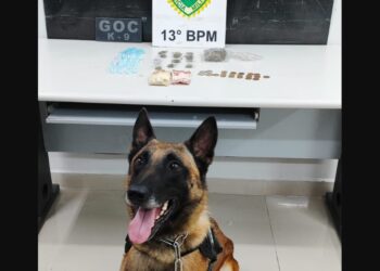 Mulher tenta dar pinote a pé ao ver viatura e acaba detida pela PM