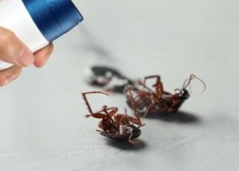 Mulher evita assalto jogando inseticida no rosto de ladrão