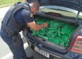 Após acompanhamento tático, Guarda Municipal apreende carro com mais de 300 quilos de maconha