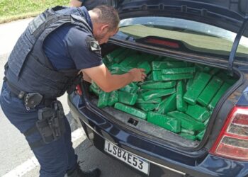 Após acompanhamento tático, Guarda Municipal apreende carro com mais de 300 quilos de maconha