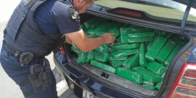 Após acompanhamento tático, Guarda Municipal apreende carro com mais de 300 quilos de maconha