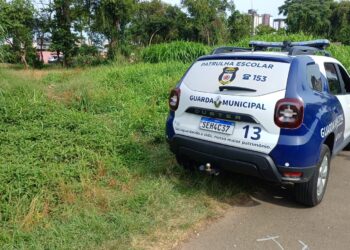 Corpo de homem é encontrado com crânio esmagado no bairro Jardim Botânico