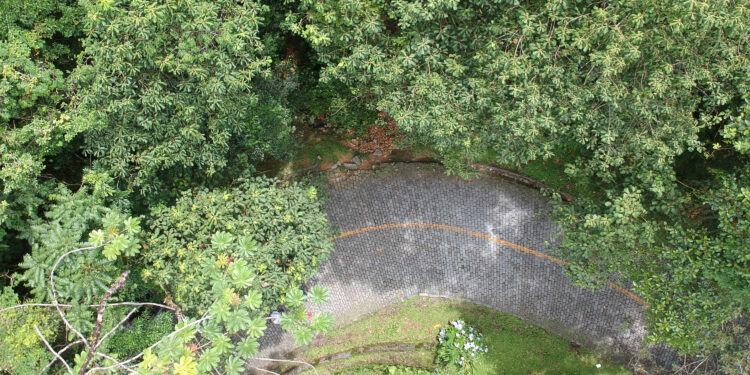 Estrada da Graciosa terá bloqueios parciais esta semana para receber nova sinalização