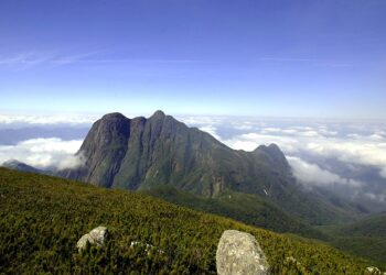 IAT alerta para risco de ataque de abelhas na trilha que leva à Montanha da Ciririca