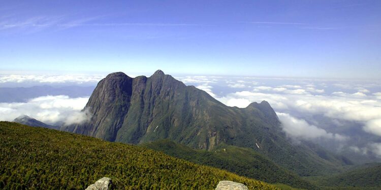 IAT alerta para risco de ataque de abelhas na trilha que leva à Montanha da Ciririca