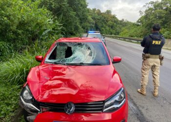 Trio é detido após atropelar, matar homem e fugir na BR-277