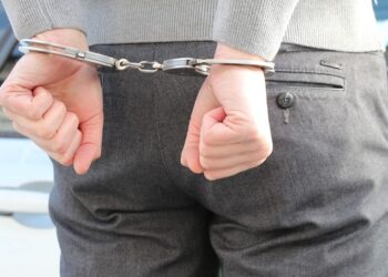 Desvendando o Habeas Corpus – Garantia Fundamental na Defesa da Liberdade