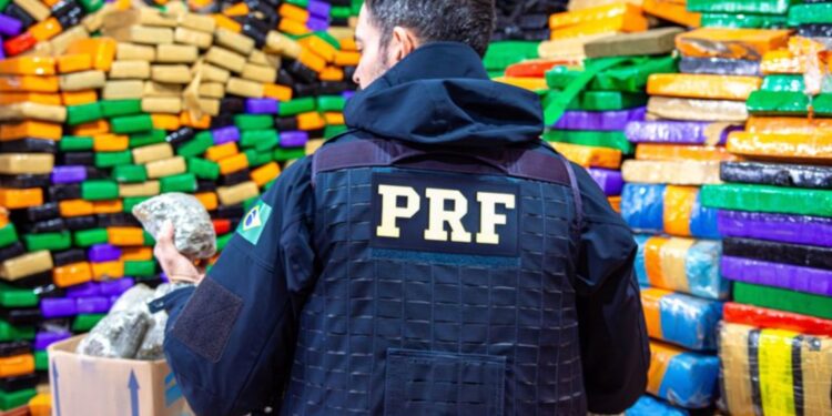 PRF fecha 2023 com recorde de apreensão de drogas no Paraná; nunca na história da PRF apreendeu-se tanta droga