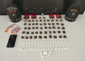 Criminosa de 22 anos que já tem passagem por roubo e tráfico é presa pela ROCAM traficando drogas no Parolin