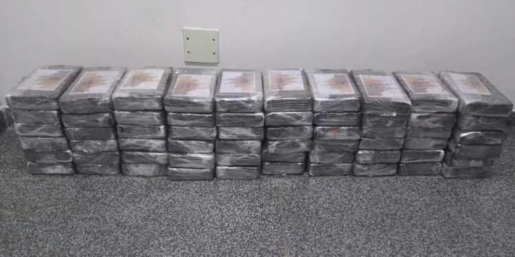PRF e Guarda Municipal apreendem grande quantidade de cocaína na região metropolitana de Curitiba