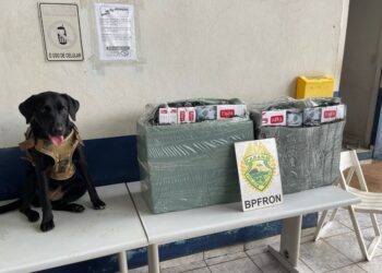 BPFRON realiza apreensão de cigarros contrabandeados durante a Operação Protetor