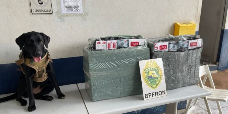 BPFRON realiza apreensão de cigarros contrabandeados durante a Operação Protetor
