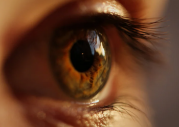 Visão Monocular: Pedido de isenção pode ser feito diretamente na Justiça, decide TJPR