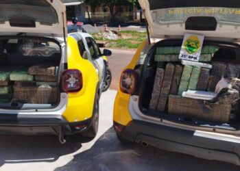 PMPR apreende mais de 405 kg de maconha no Paraná