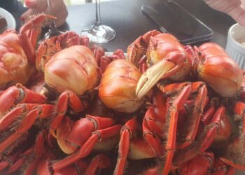 Festival do caranguejo mobiliza turistas em Pontal do Paraná a partir desta sexta-feira