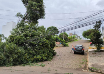 Após temporais, mais de mil técnicos da Copel atendem 38 mil consumidores sem energia