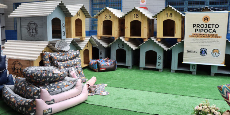 Detentos fazem 100 casinhas para cães resgatados das ruas