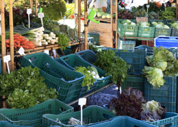 Com o início das obras na Praça da Ucrânia, tradicionais feiras de Curitiba mudam de endereço