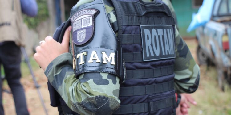 PMPR resgata animais submetidos a maus tratos e interrompe desmatamento ilegal, em ações distintas