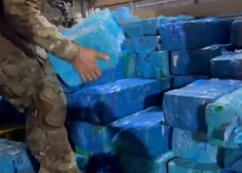 Indivíduo é preso após ser flagrado com 1.300 quilos de maconha e 23 quilos de skunk