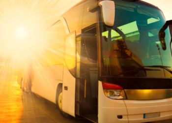 Motorista é flagrado dormindo em bagageiro de ônibus na BR-153, em Goiás