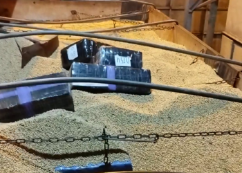 Polícia Militar do Paraná realiza apreende quatro toneladas de maconha em Irati