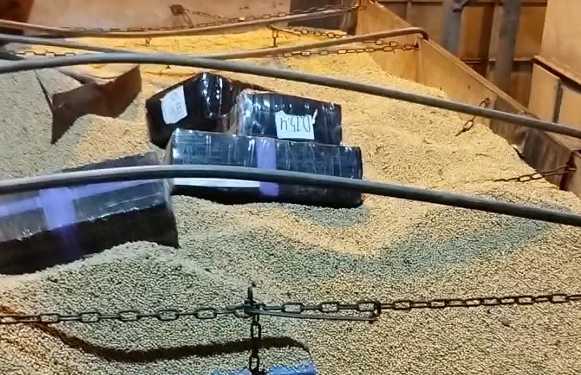 Polícia Militar do Paraná realiza apreende quatro toneladas de maconha em Irati