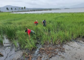 Polícia Civil esclarece homicídio e cumpre mandado de prisão preventiva