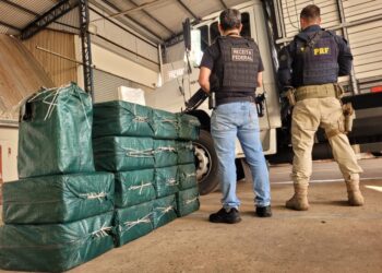 PRF e Receita Federal apreendem meia tonelada de cocaína no Paraná; maior apreensão no Brasil em 2024 até o momento