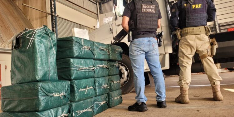 PRF e Receita Federal apreendem meia tonelada de cocaína no Paraná; maior apreensão no Brasil em 2024 até o momento
