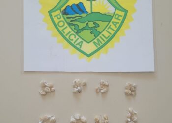 Mulher é presa por tráfico de drogas