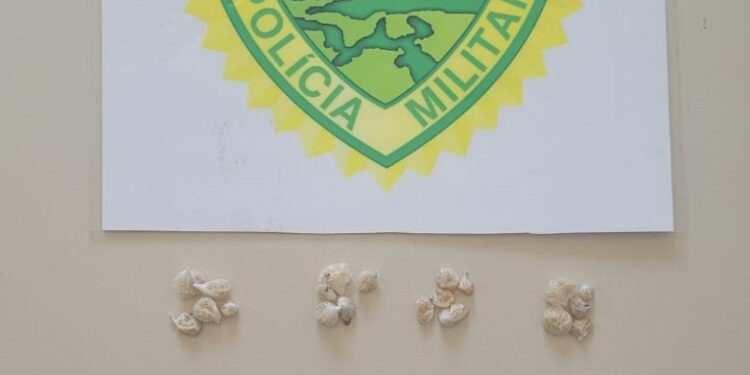 Mulher é presa por tráfico de drogas